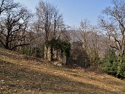 Sentieri fioriti sopra casa ad anello-Zogno-28mar22 - FOTOGALLERY